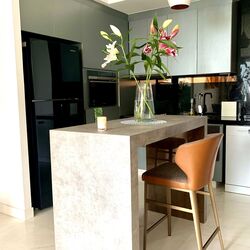 The Aristo @ Amber (D15), Apartment #558181821